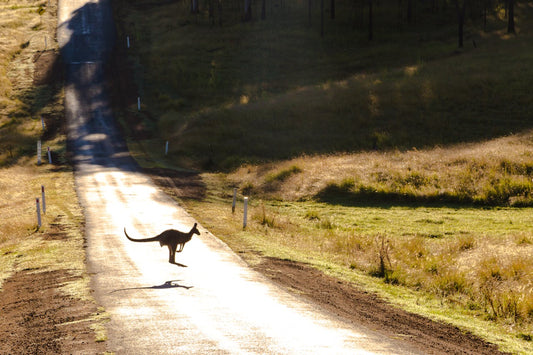 Top 10 Off-Road Trails for Motorcycles to Explore in Australia