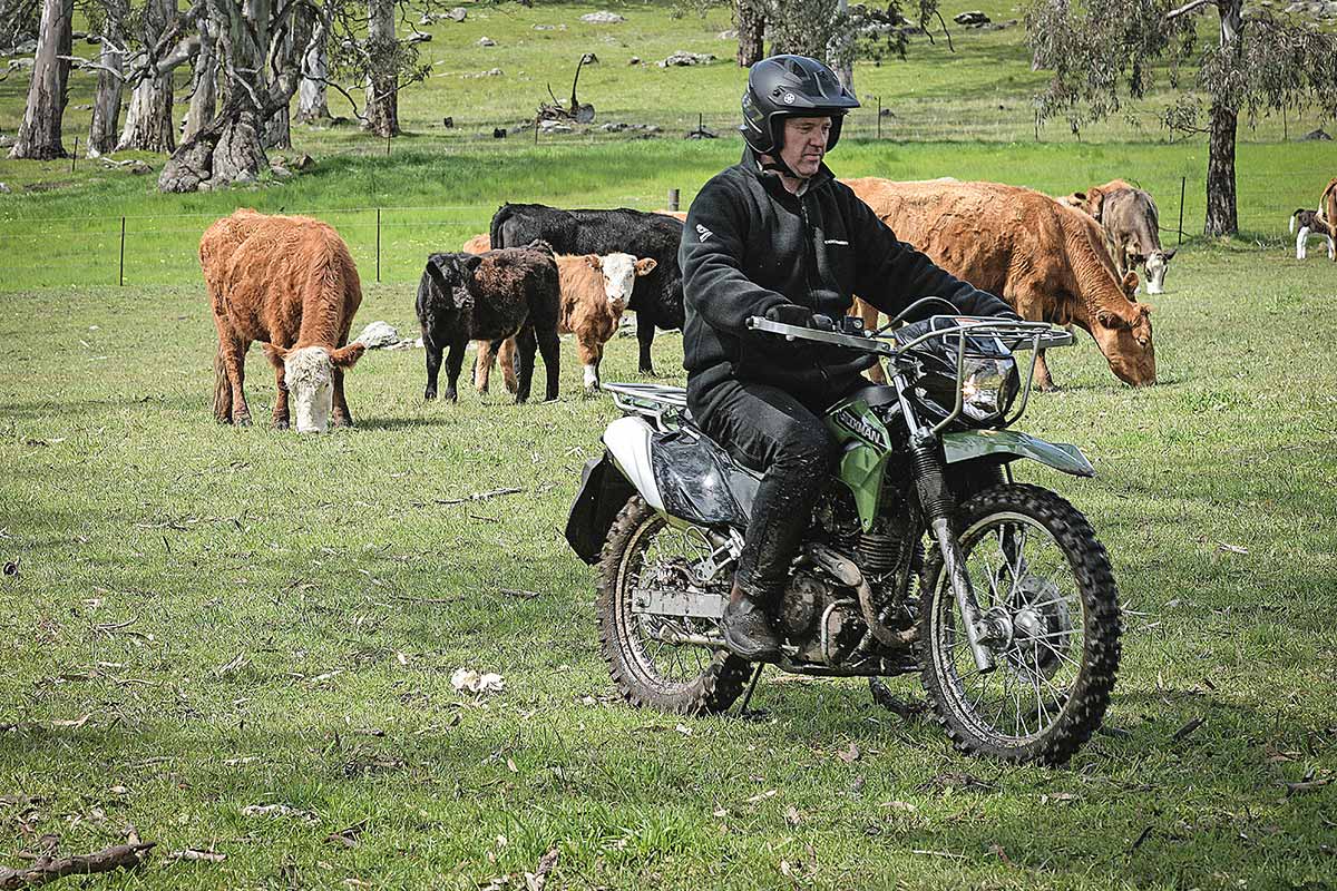 Kawasaki Stockman 2023 Off-Road